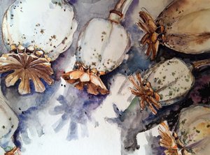  - Anda Bieza