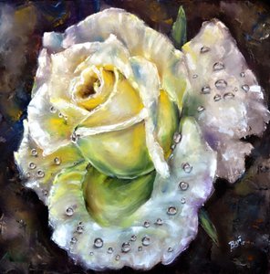 Rose fraîche et éclatante - Anda Bieza