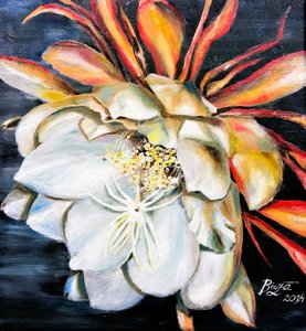 La reine de la fleur nocturne