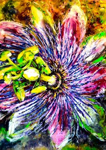 Une fleur de passiflore aux couleurs éclatantes