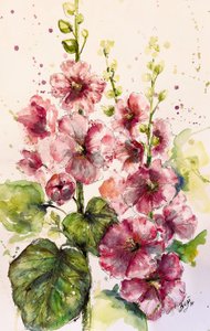 Des roses trémières d