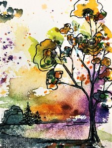 Arbre aux couleurs chatoyantes au coucher du soleil
