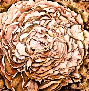 Fleur de pivoine au chaud - Anda Bieza