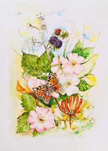 Jardin des fleurs sauvages et des papillons