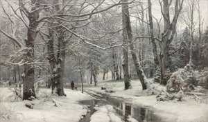 Dégel dans une forêt de hêtres