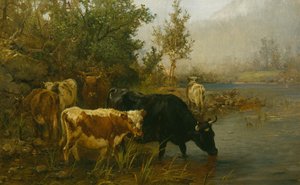 Vaches près de l