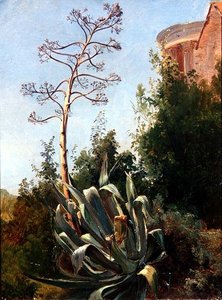 Paysage; Italie du Sud - Anders Christian Lunde