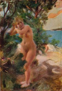 Après le bain, 1895