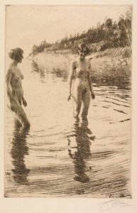 Peu profond - Anders Leonard Zorn