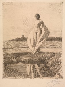 Le cygne