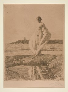 Le Cygne - Anders Leonard Zorn