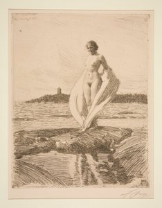 Le Cygne