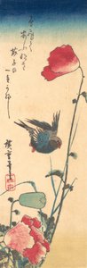 Un oiseau bleu et des coquelicots, 1832-34 - Ando Hiroshige