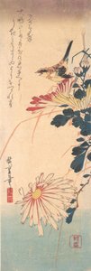 Un troglodyte et des chrysanthèmes - Ando Hiroshige