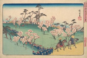 Asukayama Hanami - Ando Hiroshige