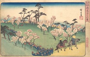 Asukayama Hanami - Ando Hiroshige