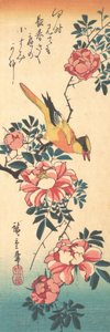 Bergeronnette grise orientale et rose - Ando Hiroshige