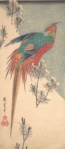 Faisan doré et pousses de pin dans la neige, vers 1835 - Ando Hiroshige