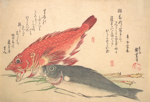 Isaki et poisson Kasago, de la série Uozukushi Chaque variété de poisson, années 1830 - Ando Hiroshige