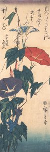 Liserons, vers 1843 - Ando Hiroshige