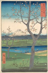 Musashi, Koshigaya Zai, avril année du cheval 1858 - Ando Hiroshige