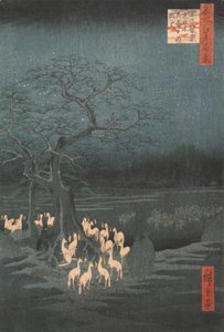 Feux de renard du réveillon du Nouvel An à l