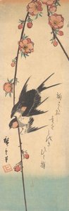 Fleurs de poirier et hirondelles, vers 1840 - Ando Hiroshige