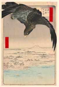 Plaine à Suzaki Fukagawa (Fukagaw Susaki, Juman-tsubo) de la série Cent vues d