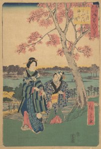 Observation des fleurs de prunier au troisième mois à la rivière Sumida de la série Événements annuels à F..., 1854 - Ando Hiroshige