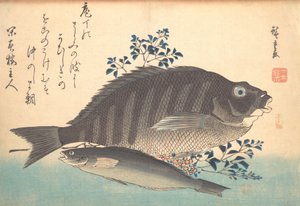 Shimadai et poisson Ainame, de la série Uozukushi Chaque variété de poisson - Ando Hiroshige