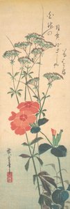 Œillets superbes et agrimoine chinoise - Ando Hiroshige