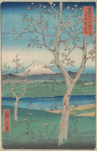 Vue du mont Fuji depuis Koshigaya, province de Musashi, 4e mois, année du Cheval 1858