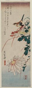 Fauvette et chrysanthèmes, milieu des années 1830 - Ando Hiroshige