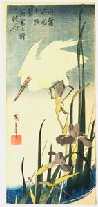 Héron blanc et iris, 1833