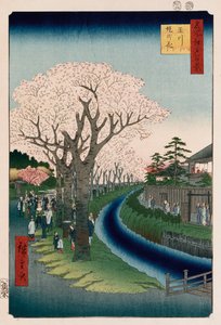 Fleurs de cerisier, digue de la rivière Tama - Ando or Utagawa Hiroshige
