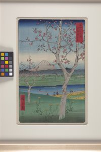 Koshigaya dans la province de Musashi