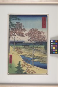 Colline du crépuscule de Meguro dans la capitale orientale