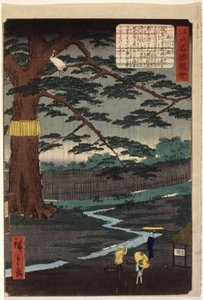 Miyuki Pine - Ando or Utagawa Hiroshige