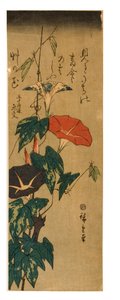 Gloires du matin, c.1843-47 - Ando or Utagawa Hiroshige