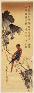 Perroquet et vignes - Ando or Utagawa Hiroshige