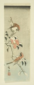 Moineaux et camélia dans la neige - Ando or Utagawa Hiroshige