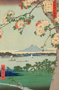 Bois de Suijin et Massaki sur la rivière Sumida