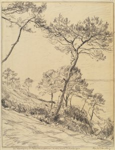 Paysage - André Dauchez