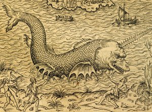 Monstre marin, gravure de la Cosmologie Universelle, par André Thevet (1504-1592), Paris - Andre Thevet