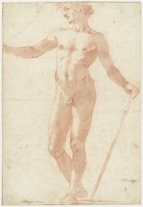 Modèle masculin nu debout