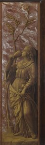 Une femme buvant (c. 1500)