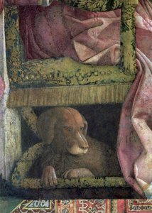 Rubino, le chien préféré de Marchese Ludovico Gonzaga III de Mantoue et de sa famille, de la Camera degli Sposi ou Camera Picta, 1465-74 (détail) - Andrea Mantegna