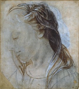 Tête de femme - Andrea Verrocchio