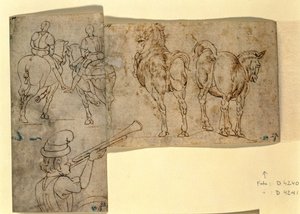 Inv no.38 recto Esquisse de Chevaux, c. 1460-70 - Andrea Verrocchio