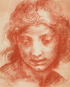 Tête de garçon - Andrea del Sarto